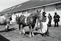 Hungary, Budapest X., Albertirsai út, Mezőgazdasági Kiállítás., 1943, Miklós Lajos, horse, folk costume, Budapest, master, Fortepan #140783