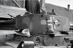 1942, Miklós Lajos, dog, helmet, insignia, General Military Vehicle Emblem, Fortepan #140982