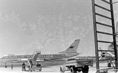 A szovjet Aeroflot légitársaság Tu-104A típusú utasszállító repülőgépe., 1959, Szent-tamási Mihály, közlekedés, repülőgép, repülőtér, Tupoljev-márka, Aeroflot légitársaság, Tupoljev Tu-104, cirill írás, reptéri lépcső, Fortepan #14102