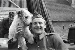 1942, Miklós Lajos, dog, second World War, Hungarian soldier, Fortepan #141067