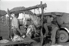 1942, Miklós Lajos, eastern front, butcher, second World War, automobile, Hungarian soldier, Fortepan #141073