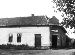 Magyarország, Csépa, 1983, Gazda Anikó, Fortepan #141155