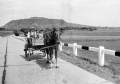 Magyarország, a 8-as országút Tüskevár és Somlójenő között, háttérben a Somló., 1955, Baráth Endre, ló, hintó, fogat, gyerekek, férfi, útkorlát, Fortepan #14116