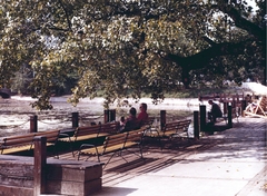 Magyarország, Városliget, Budapest XIV., pihenőpark a Városligeti-tó partján., 1985, Hlatky Katalin-Főkert, Budapest, Fortepan #141305