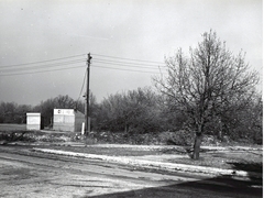 Magyarország, Széchenyihegy, Budapest XII., a Hegyhát út a Golfpálya útnál, a Gyermekvasút (Úttörővasút) végállomásával szemben., 1977, Hlatky Katalin-Főkert, Budapest, Fortepan #141313