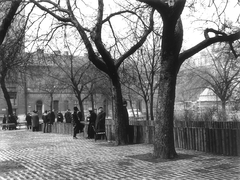 Magyarország, Budapest VIII., II. János Pál pápa (Köztársaság) tér, a háttérben jobbra a Szilágyi utcánál az Általános Iskola (később Deák Diák Általános Iskola)., 1972, Hlatky Katalin-Főkert, Budapest, Fortepan #141336