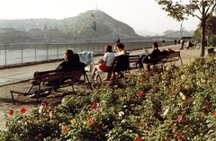 Magyarország, Budapest IX., a mai Nehru part, háttérben a Gellért-hegy., 1976, Hlatky Katalin-Főkert, színes, Budapest, Duna-híd, Feketeházy János-terv, Fortepan #141365