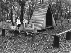 Magyarország, Széchenyihegy, Budapest XII., Rege park a Gyermekvasút (Úttörővasút) végállomása és a Rege út között., 1982, Hlatky Katalin-Főkert, Budapest, Fortepan #141375