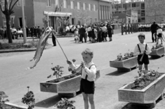 Magyarország, Monor, Kossuth Lajos utca, május 1-i ünnepség a megyei pártbizottság (később könyvtár) előtt. Balra a Forrás utca., 1968, Péterffy István, Fortepan #141809