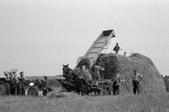 Magyarország, Káva, luecrnakazal a Haladás Tsz-ben., 1969, Péterffy István, szekér, mezőgazdaság, mezőgazdasági gép, Fortepan #141830