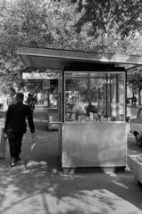 Magyarország, Cegléd, Szabadság tér., 1969, Péterffy István, pavilon, Fortepan #141889