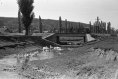 Magyarország, Sülysáp, Tápiósüly (ekkor önálló, ma a város része), híd az Alsó-Tápió folyó felett a mai Szent István tér közelében., 1968, Péterffy István, Fortepan #142035