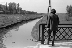 Magyarország, Sülysáp, Tápiósüly (ekkor önálló, ma a város része), híd az Alsó-Tápió folyó felett a mai Szent István tér közelében., 1968, Péterffy István, Fortepan #142036