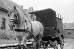 Magyarország, Monor, Petőfi Sándor utca, csomagpostás lovaskocsi. Szemben a Széchenyi utca a pénzügyőrség, a mai óvoda épülete., 1968, Péterffy István, postajármű, lószerszám, petróleumlámpa, Fortepan #142113