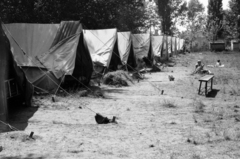 Hungary,Lake Balaton, Zamárdi, Úttörőtábor., 1970, Péterffy István, tent, camping site, Fortepan #142434