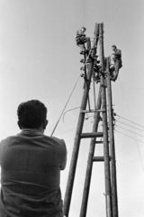 Hungary, Monor, Mátyás király utca, a Délmagyarországi Áramszolgáltató Vállalat (DÁV) hálózatkorszerűsítést végez., 1970, Péterffy István, electrician, electricity, Fortepan #142440