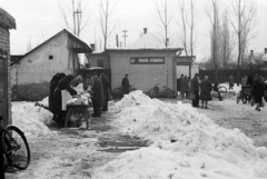 Hungary, 1969, Péterffy István, bicycle, winter, market, costermonger, greengrocer, snow piles, Fortepan #142462