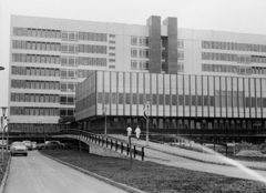 Hungary, Cegléd, Törteli út 11., a felvétel a Ceglédi kórház (később Toldy Ferenc Kórház és Rendelőintézet) átadásakor készült., 1970, Péterffy István, medical institution, Fortepan #142470