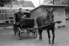 Magyarország, Hódmezővásárhely, Szabadság (Tanácsköztársaság) tér, piac, 1968, Péterffy István, autóbusz, lovaskocsi, Fortepan #142500