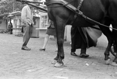 Magyarország, Hódmezővásárhely, Szabadság (Tanácsköztársaság) tér, piac, 1968, Péterffy István, lószerszám, Fortepan #142501