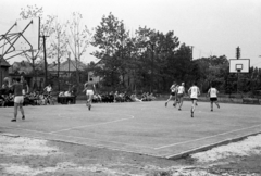 Hungary, Monor, Dózsa György utca, a József Attila Gimnázium kosárlabda pályája. Kistext - Monori SE férfi NB III-as mérkőzés., 1970, Péterffy István, basketball, Fortepan #142576