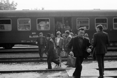 Hungary, Monor, vasútállomás., 1970, Péterffy István, Hungarian Railways, train station, MÁV Bhv, Fortepan #142580