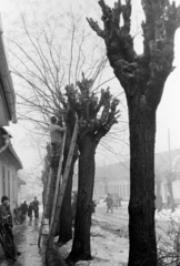 Hungary, Cegléd, Selyem (Fürst Sándor) utca 2. felől - az Eötvös tér 1. felé nézve. Jobb oldalon a Táncsics Mihály Általános Iskola (később Táncsics Mihály Zenetagozatos Általános Iskola) épülete., 1970, Péterffy István, winter, street view, wood, ladder, Fortepan #142628