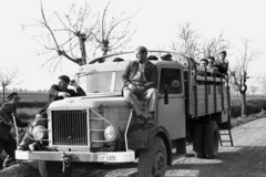 1955, Chuckyeager tumblr, teherautó, Csepel-márka, rendszám, Csepel B-350/D-350, Fortepan #142842