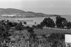 Magyarország,Balaton, Badacsonytomaj, középen a tóba benyúló kőrakodó., 1954, Chuckyeager tumblr, látkép, tó, Fortepan #142937