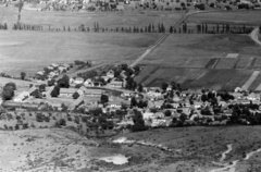 Magyarország,Balaton, Badacsony, Badacsonytomaj a Badacsonyról nézve, középen átlósan a Kisörsi út., 1954, Chuckyeager tumblr, madártávlat, Fortepan #142957