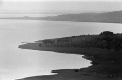 Magyarország,Balaton, Badacsony, kilátás a Badacsonyról Szigliget felé., 1954, Chuckyeager tumblr, légi felvétel, Fortepan #142962