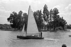 Magyarország, Balatonföldvár, kikötő, szemben a Galamb-sziget., 1961, Chuckyeager tumblr, vitorláshajó, Fortepan #142994