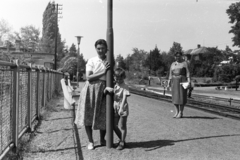 Magyarország, Balatonkenese, Balatonkenese-Üdülőtelep megállóhely (később Csittényhegy megállóhely)., 1961, Chuckyeager tumblr, Fortepan #143006