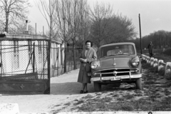 Hungary, Budapest II., Zuhatag sor a Ditró utcánál., 1957, Chuckyeager tumblr, Moskvitch-brand, number plate, Budapest, girls'n'cars, Fortepan #143020