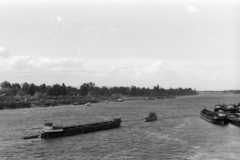 Hungary, Budapest V., Margit-sziget a a Margit hídról nézve., 1957, Chuckyeager tumblr, river, barge, Danube, Budapest, Fortepan #143234