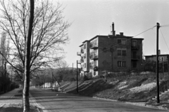 Magyarország, Budapest XII., Stromfeld Aurél út a Levendula utca felé nézve, jobbra a 18. számú ház., 1960, Chuckyeager tumblr, Budapest, rézsű, utcakép, Fortepan #143256