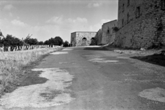 Magyarország, Gellérthegy, Budapest I.,Budapest XI., Citadella., 1958, Chuckyeager tumblr, Budapest, lejtő, Fortepan #143457