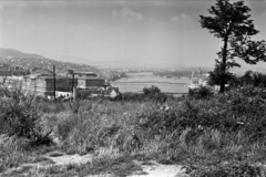 Magyarország, Gellérthegy, Budapest I., kilátás a budai Vár és a Kossuth híd felé., 1958, Chuckyeager tumblr, Kossuth híd, Budapest, látkép, Fortepan #143458