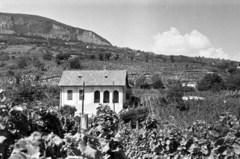 Hungary,Lake Balaton, Badacsonytomaj, Római út 53., 1957, Chuckyeager tumblr, vine, Fortepan #143462