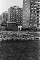 Magyarország, Budapest XI., Etele (Szakasits Árpád) úti panelházak a Tétényi út - Bikszádi utca határolta park felől nézve., 1970, Chuckyeager tumblr, Budapest, Fortepan #143488