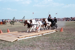 Magyarország, Apaj, Apajpuszta, a Bp. Honvéd SE XXI. Nemzetközi Lovasversenye., 1986, Chuckyeager tumblr, színes, Fortepan #143526