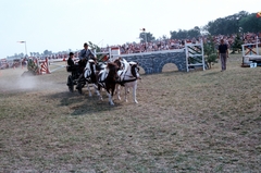 Magyarország, Apaj, Apajpuszta, a Bp. Honvéd SE XXI. Nemzetközi Lovasversenye., 1986, Chuckyeager tumblr, színes, Fortepan #143527