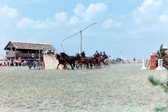 Magyarország, Apaj, Apajpuszta, a Bp. Honvéd SE XXI. Nemzetközi Lovasversenye., 1986, Chuckyeager tumblr, színes, gémeskút, négyesfogat, Fortepan #143530