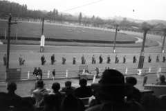 Magyarország, Budapest VIII., rendezvény a Kerepesi úti Ügetőpályán., 1955, Chuckyeager tumblr, kutya, Budapest, Fortepan #143861