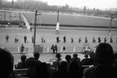 Magyarország, Budapest VIII., rendezvény a Kerepesi úti Ügetőpályán., 1955, Chuckyeager tumblr, Budapest, kutyakiállítás, Fortepan #143862