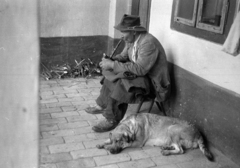 1962, Chuckyeager tumblr, dog, pipe, Fortepan #143937