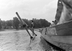 Magyarország, Szentendrei-Duna, szemben a Lupa-sziget., 1959, Szent-tamási Mihály, nyár, csónak, evezés, evező, Fortepan #14403