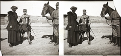 1916, Asztalos András, stereophoto, lady, horse, foal, Fortepan #146048