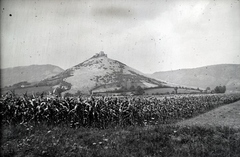 Szlovákia, Torna, Vár., 1939, Sattler Katalin, mezőgazdaság, látkép, Fortepan #146219