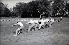 Magyarország,Szentendrei-sziget, Tahitótfalu, a Budapesten működő német birodalmi iskola sportrendezvénye a Pokol csárda melletti sportpályán., 1941, Sattler Katalin, kötélhúzás, Fortepan #146322